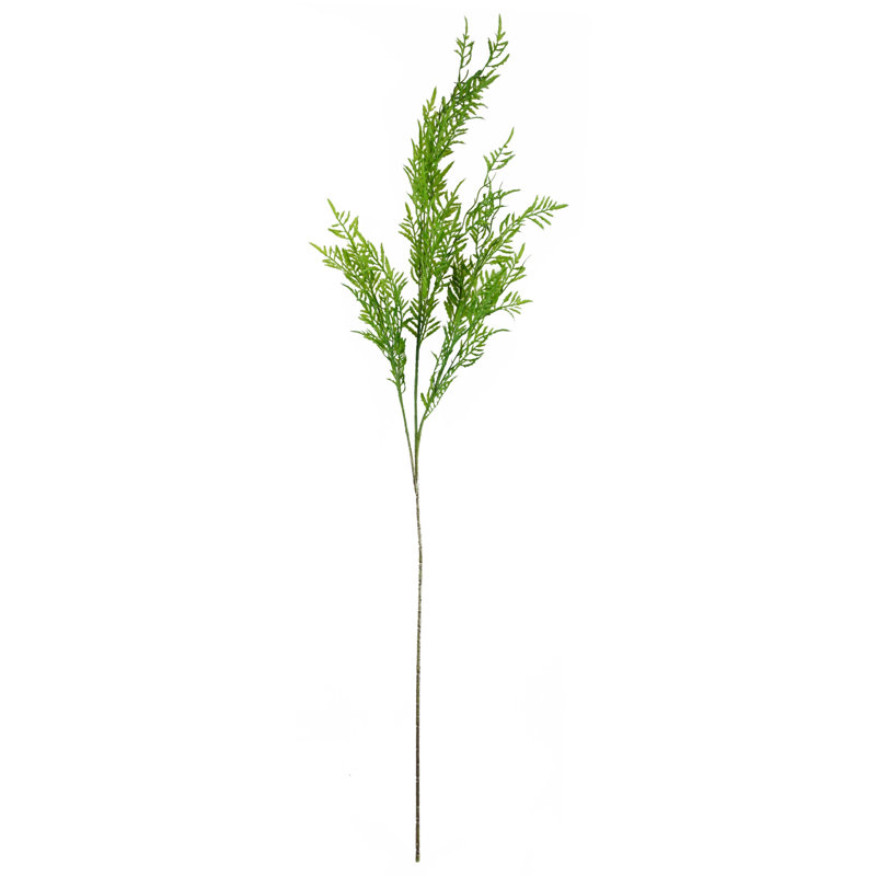 Antoan Arrangement