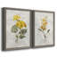 Canari lin géranium - ensemble de 2 reproductions d'art-755692019-755691908-755691905