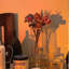 Projecteur de lampe Sunset