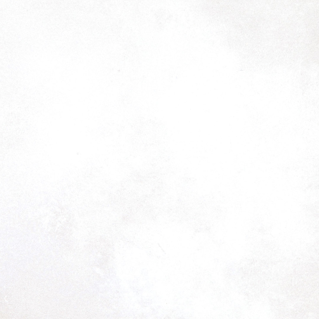 Literary License 24'' W x 24'' L Porcelain Concrete Look Singular Tile PIXL