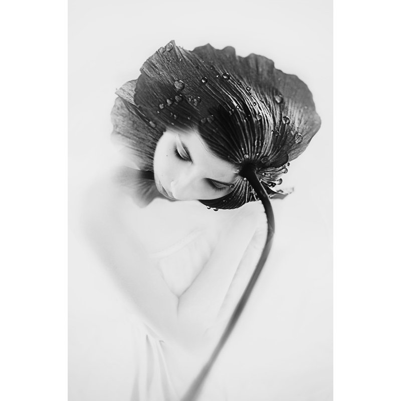 Wrapped Canvas Print, 76.2 cm H x 50.8 cm W