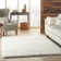 Assar Performance Indoor Rug