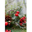 CEDAR BERRY - 6ft Garland with 100 8 Function Lights
