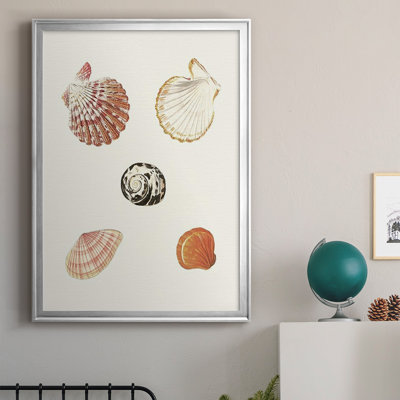 Pastel Knorr Shells VIII " Pastel Knorr Shells VIII "