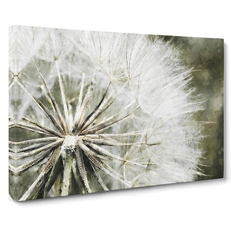 Dandelion Seeds Vol.4 - Wrapped Canvas, 35cm H x 50cm W x 3cm D