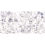 Idyll 24" x 48" Porcelain Patterned Wall & Floor Tile-464784996