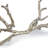 Metal Branch (Ambered Silver)-17648948