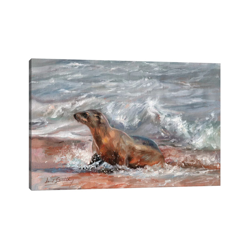 Sea Lion by David Stribbling - Wrapped Canvas Gallery-Wrapped Canvas Giclée, 20.32 cm H x 30.48 cm W