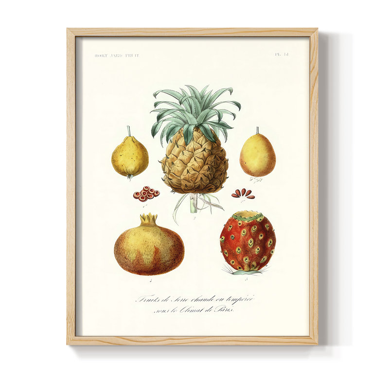 Reproduction encadrée de fruits et légumes V - bois massif, Naturel, H 11 po x l 9 po