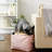 Tucker Murphy Pet™ Fabric Decorative Bin-1923877416-1923877418