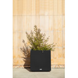 Block Series Cube Planter