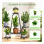 Plant Stand