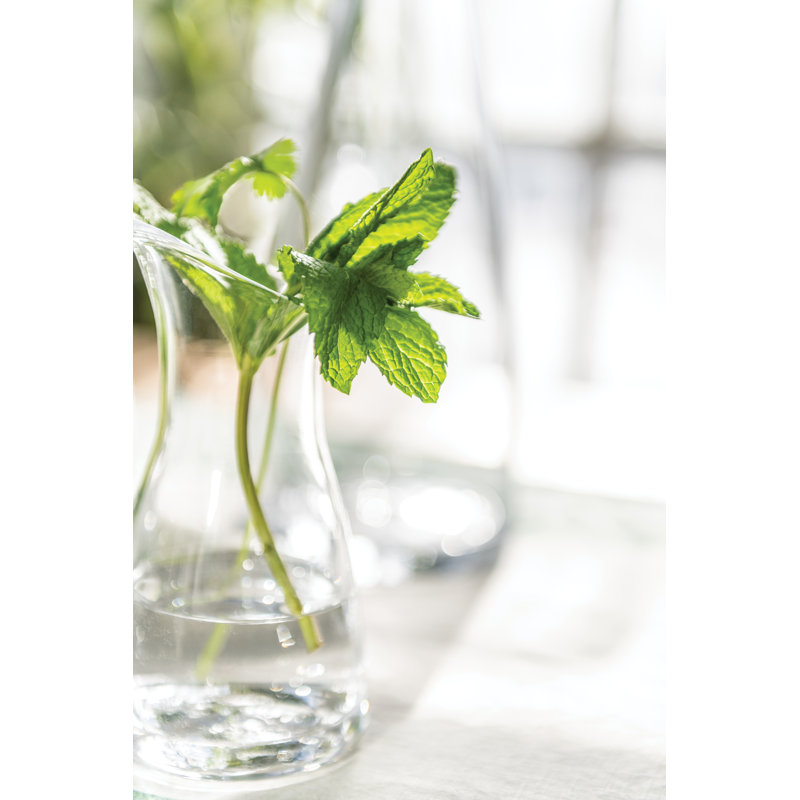 Barre Glass Carafe, Small