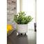 Eucalyptus artificiel 4,5 po en pot