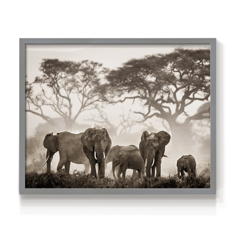 Parc national Amboseli - reproduction encadrée - réarmable, Gris, H 22 po x l 28 po
