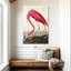 Flamant américain sur toile-573370748