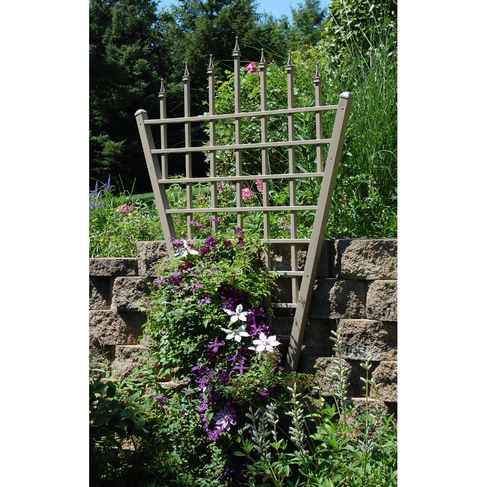 Khachadur Vinyl Fan Trellis August Grove® 