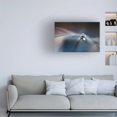 Dmitry Doronin Stories Of Drops Canvas Art