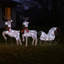 Décoration de Noël pour renne et traîneau 4 pièces, 100 Leds blanches