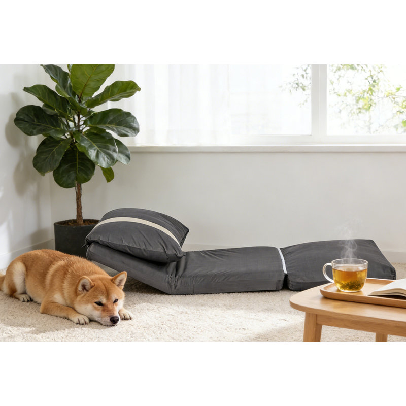 Canapé-lit moderne pour adultes et animaux de compagnie, Gris foncé