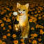 Statue d'extérieur, statue de jardin de chat tigré orange avec lanterne solaire - Décoration en résine réaliste pour le patio, la pelouse et les espaces extérieurs