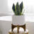 Tierney Ceramic Pot Planter-1840899777