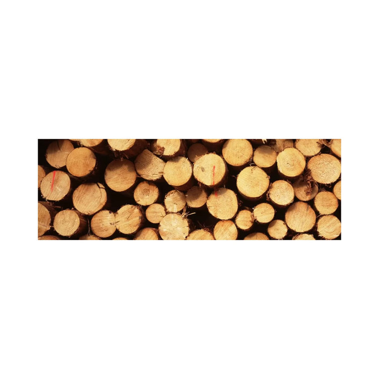 Union Rustic Lumbered Timber Pile, Germany - Wrapped Canvas Panoramic ...