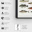 Poisson américain - peinture sur toile-61815343-61815341
