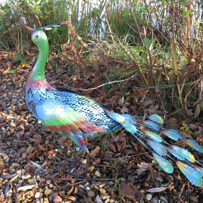 Saxondale Peacock Metal Statue