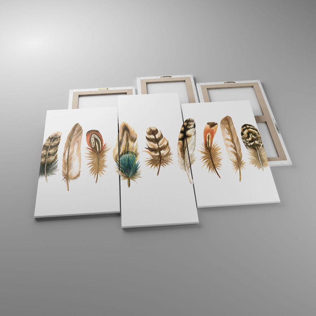 3-tlg. Leinwandbilder-Set White Background Feathers