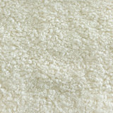 Sherpa Teddy | Kova Fabric