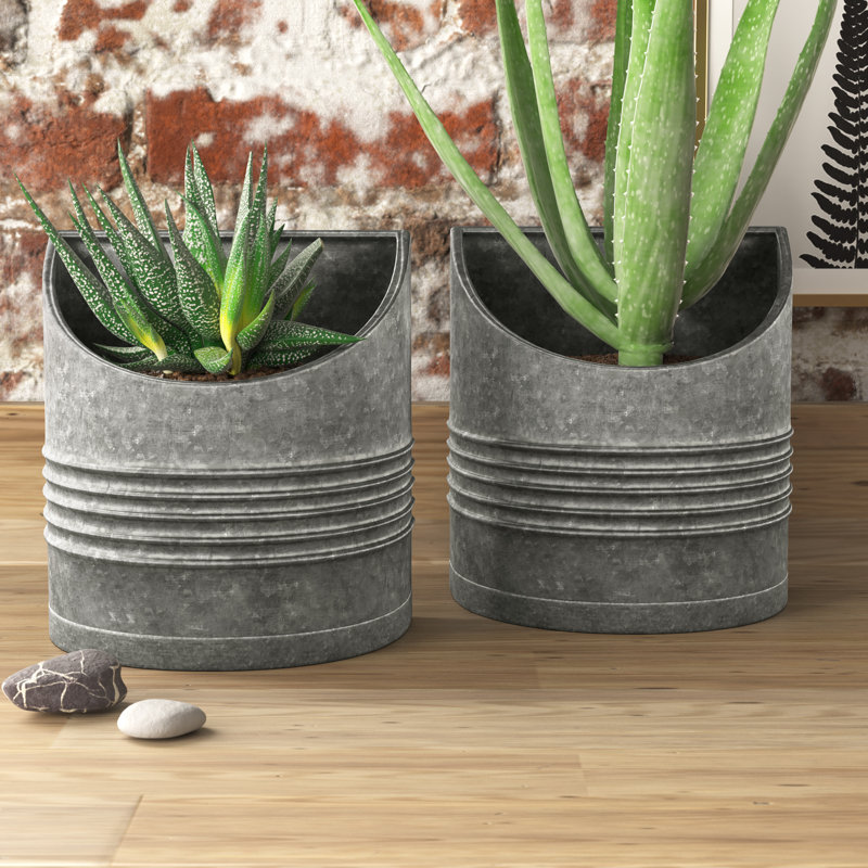 Reilly Metal Wall Planter