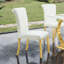Chaise d'appoint 2Pc-1955366837
