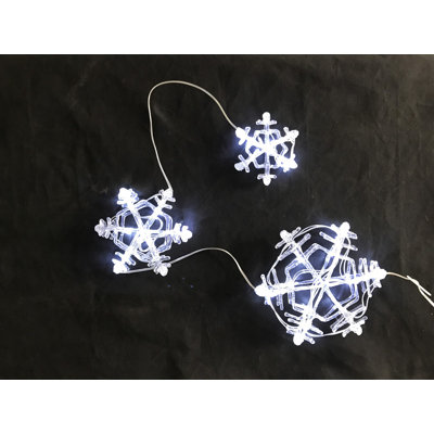 Daigle String Lights