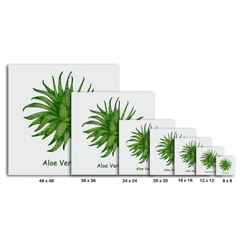 Cactus et plantes grasses 41 - reproduction sur toile tendue, H 8 po x l 8 po x P 1,5 po