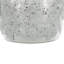 Vase de table 10 po