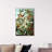 " Haeckel - Bird Study "-67049459-67049462