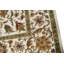 Oriental Area Rug
