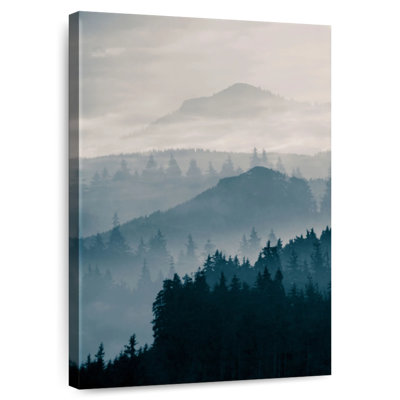 Montagnes bleues d'Alvord I
