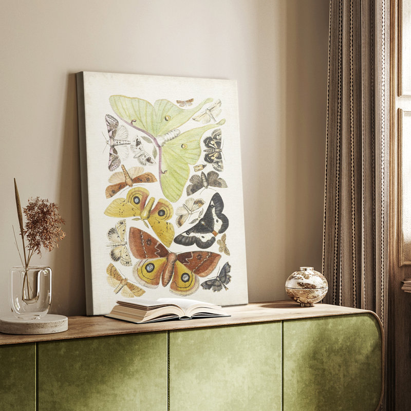 Mites antiques I - galerie Cavas sur mesure, H 36 po x l 24 po