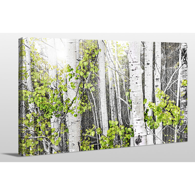 « aspens 1 », reproduction de photo sur toile tendue, H 24 po x l 40 po x P 1 po