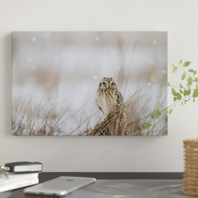 Prairie winter, impression sur toile, H 26 po x l 40 po x P 1,5 po, Toile tendue, Pas de tapis