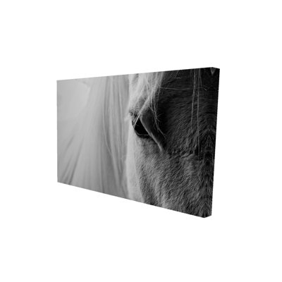 Toile blanche oeil de cheval gris | Art mural de chambre à coucher