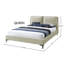Lit Grieco-159634205-159634207