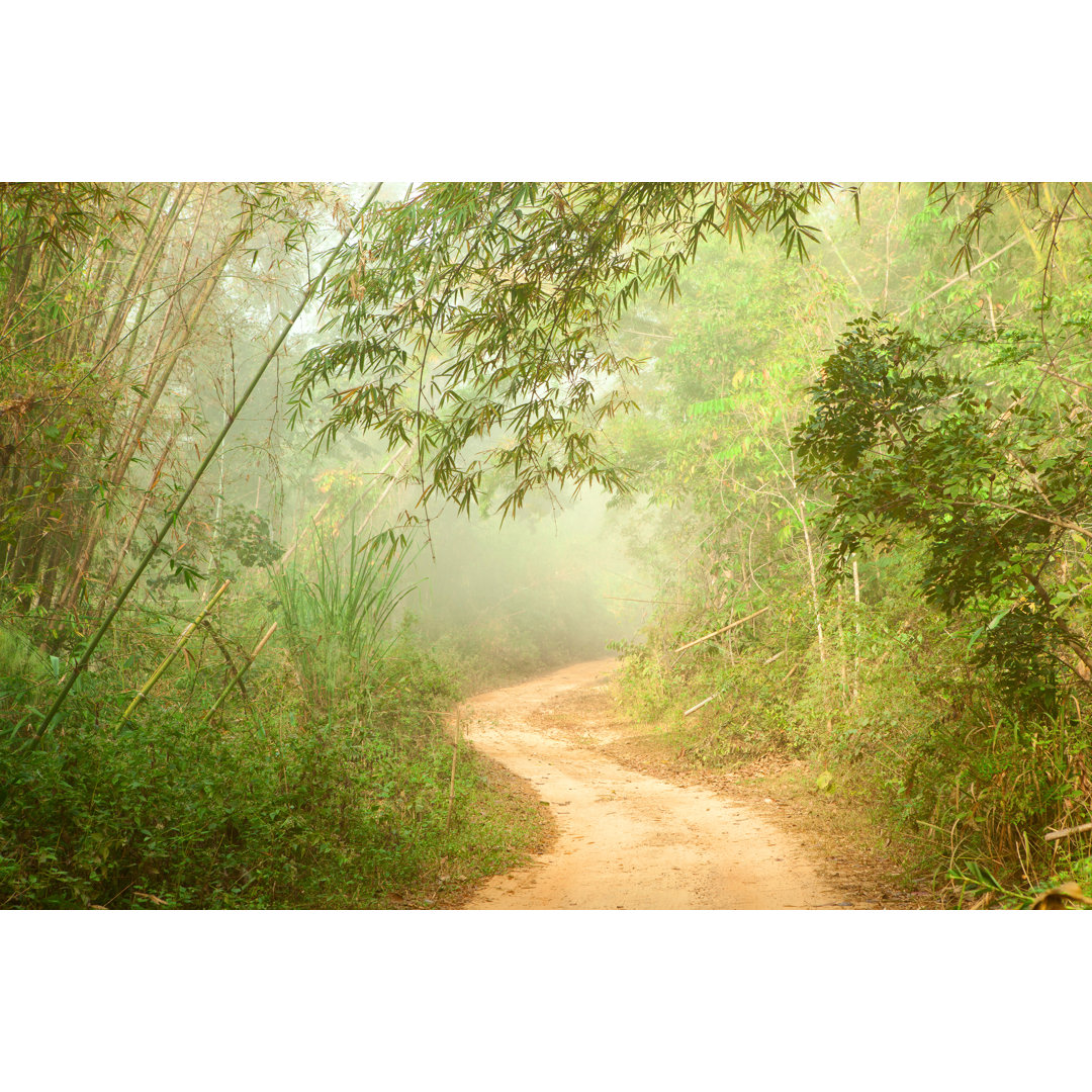 Leinwandbild Ground Road in Jungle