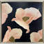Poppy Perfection II Framed Art