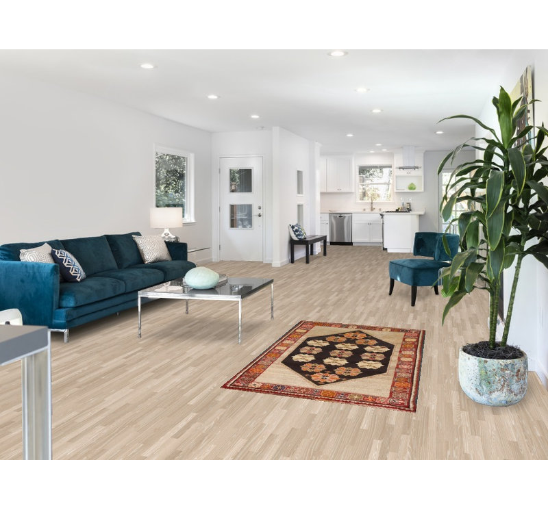 Geometric Traditional Rug 3x5