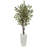 Olive Tree in White Tower Planter