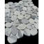 Mosaïque de galets roulés Calacatta Gold 12 po x 12 po