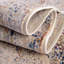 Tapis transitionnel de couleur ivoire / rouille Amiliya-2131696643